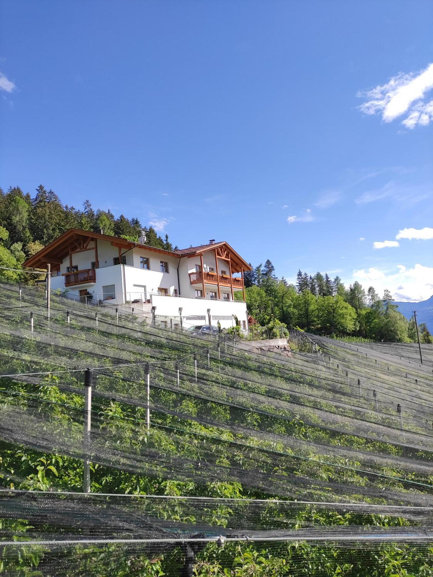 Pruensterhof Schenna Apartment Exterior photo